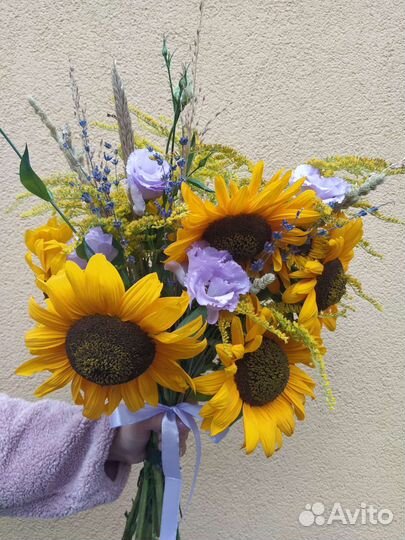 Подсолнух декоративный