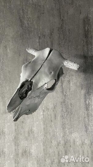 Череп на стену,loft декор