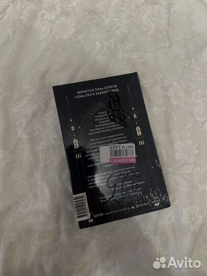 Пир теней Анви Рид, новая книга