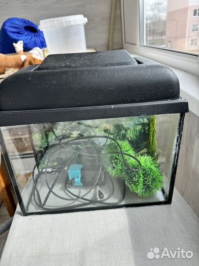 Аквариум