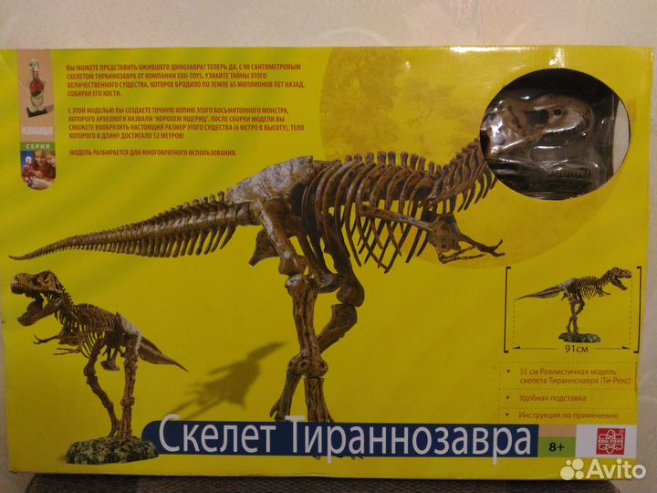 Скелет динозавра 51 см