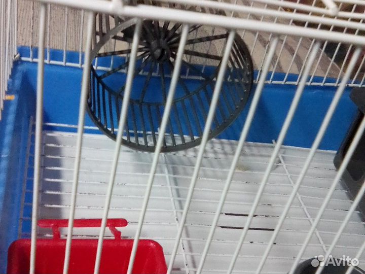 Клетка для грызунов