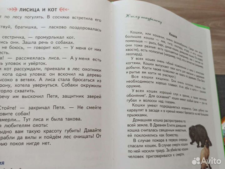 Жукова Н.С Первая после букваря