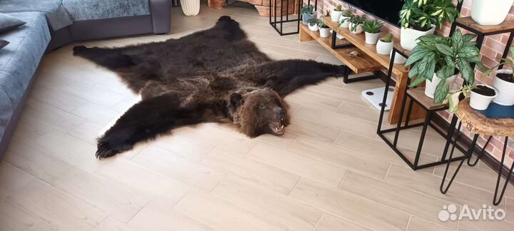 Шкура медведя (имитация)