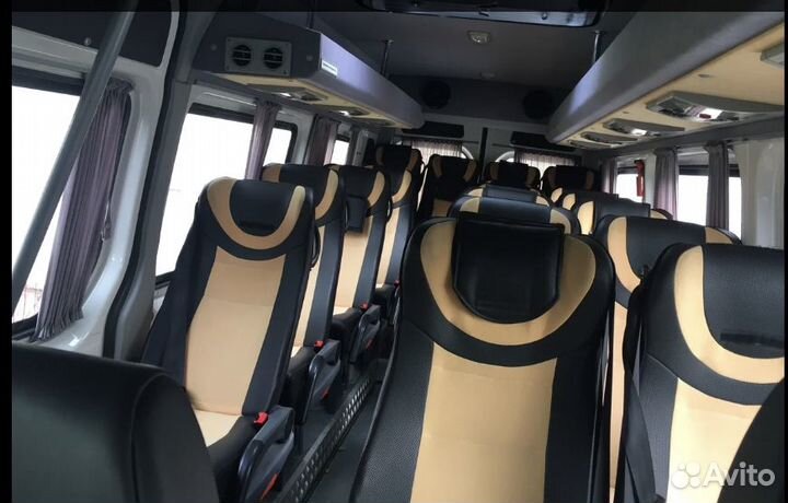 Аренда, заказ автобуса