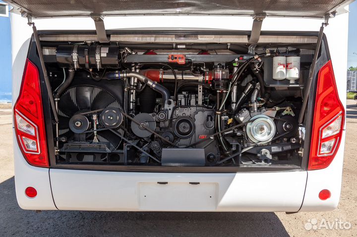 Междугородний / Пригородный автобус Higer KLQ 6119 TQ, 2024