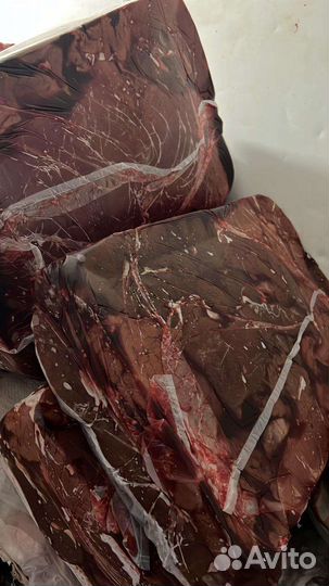 Корм для собак