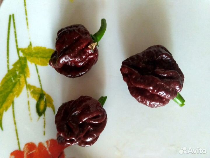 Семена самого острого перца Каролина рипер