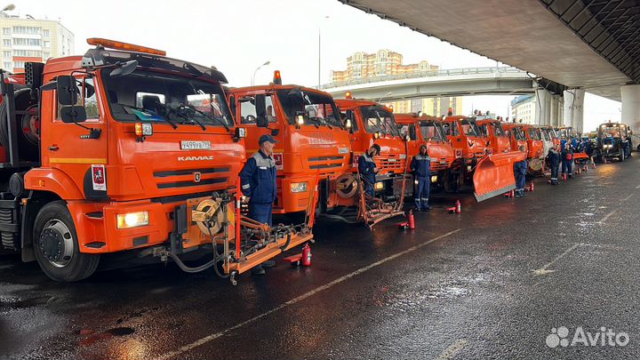 Водитель автомобиля