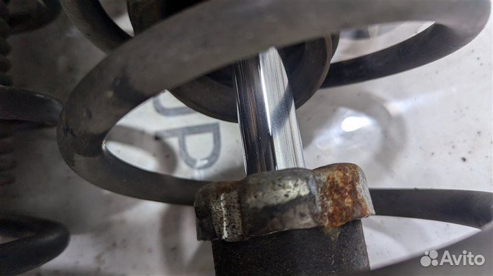 Амортизатор/стойка передняя правая Opel Vectra C