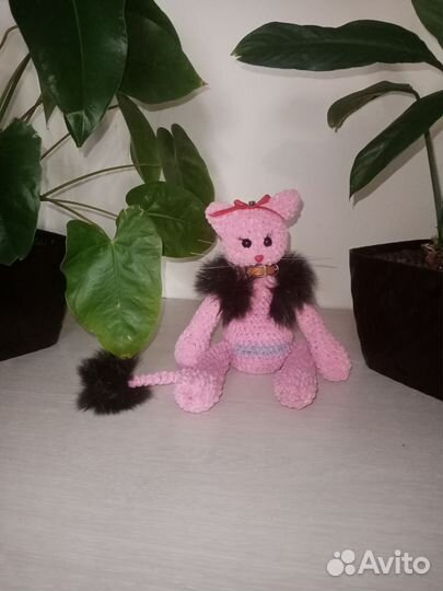 Кошечка Мэри