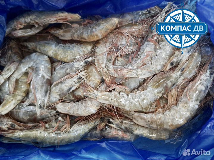 Свежие и вкусные креветки, лангустины в розницу