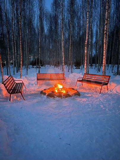 Дом 80 м² на участке 2 га