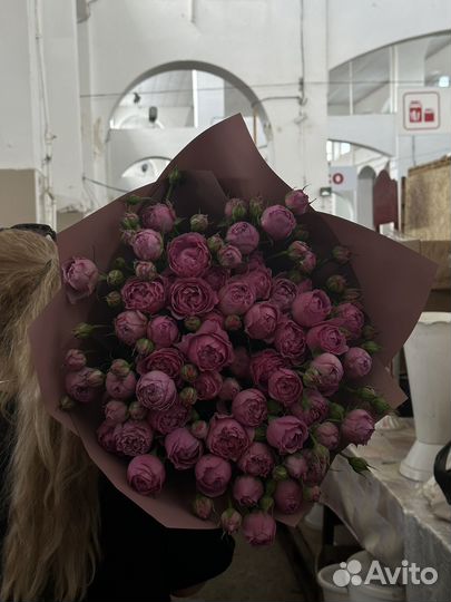Кустовая роза