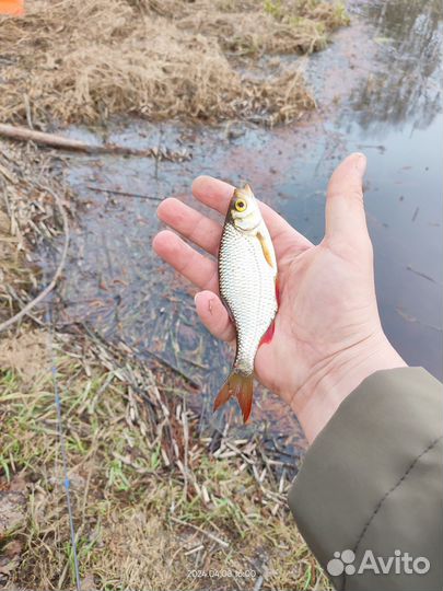 Мормышки вольфрамовые