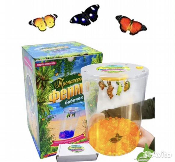 Ферма тропических бабочек для ребенка