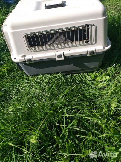 Переноска для средних собак