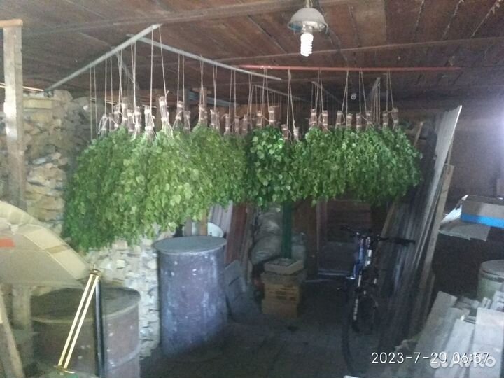 Березовые веники
