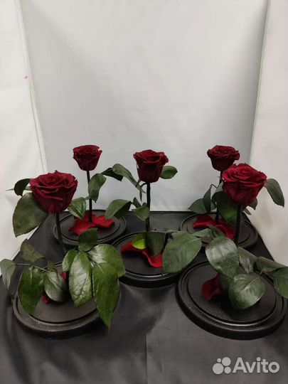 Роза в колбе оптом