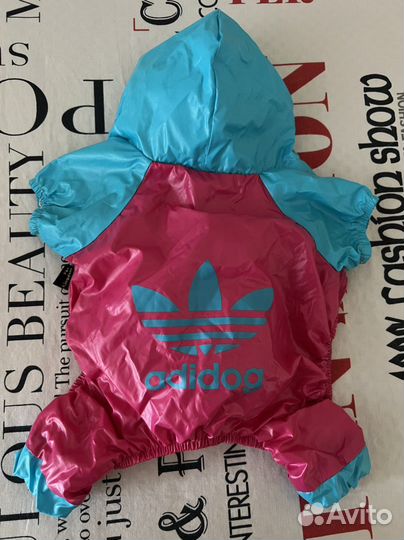 Одежда для маленьких собак