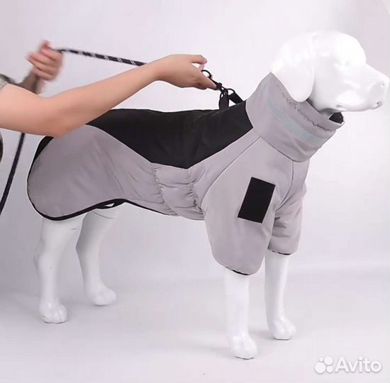 Одежда для средних собак