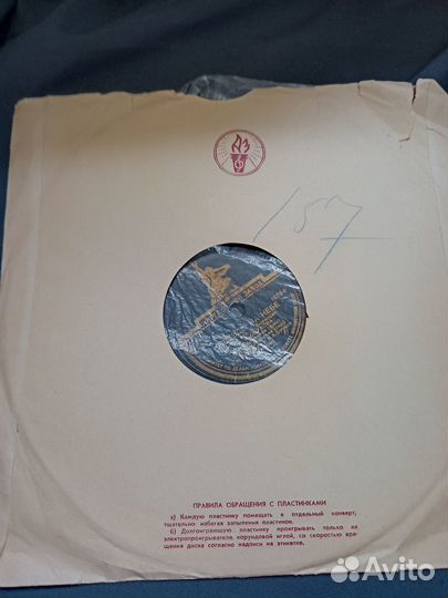 Пластинка Звёзды на небе Мы вышли в сад