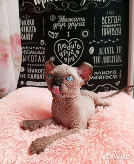 Супер девочка эльф