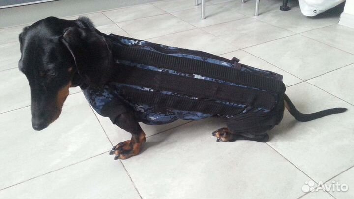 Лечебный шейный корсет для собак любой породы