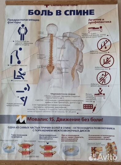 Реабилитация и Физиотерапия