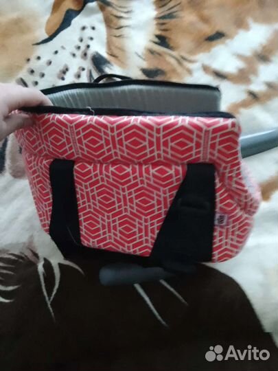 Одежда для маленьких собак