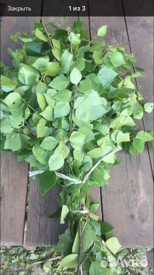 Березовые веники.принимаем заказы