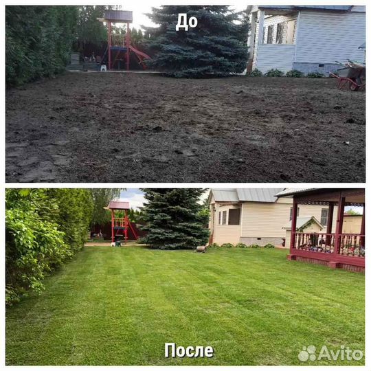 Рулонный газон /продажа/укладка