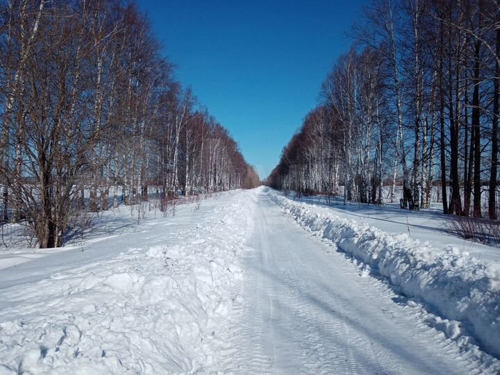 Участок 4,85 га (ИЖС)