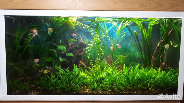 Украшения для аквариума