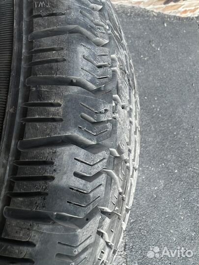 Белшина Бел-391 175/70 R13