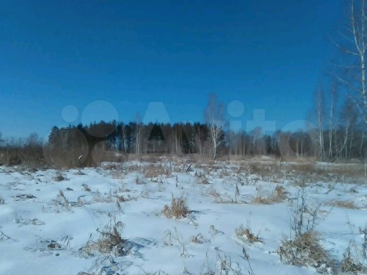 Участок 30 сот. (СНТ, ДНП)