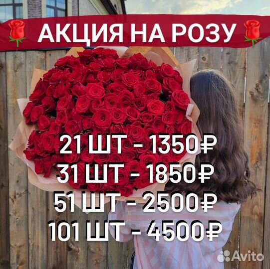 Цветы Розы Доставка Черкесск