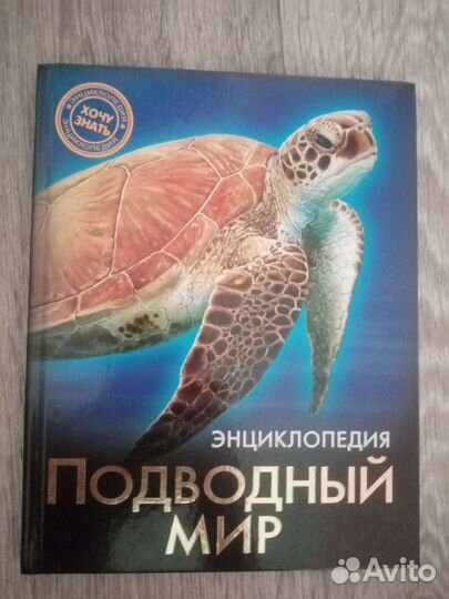 Энциклопедия