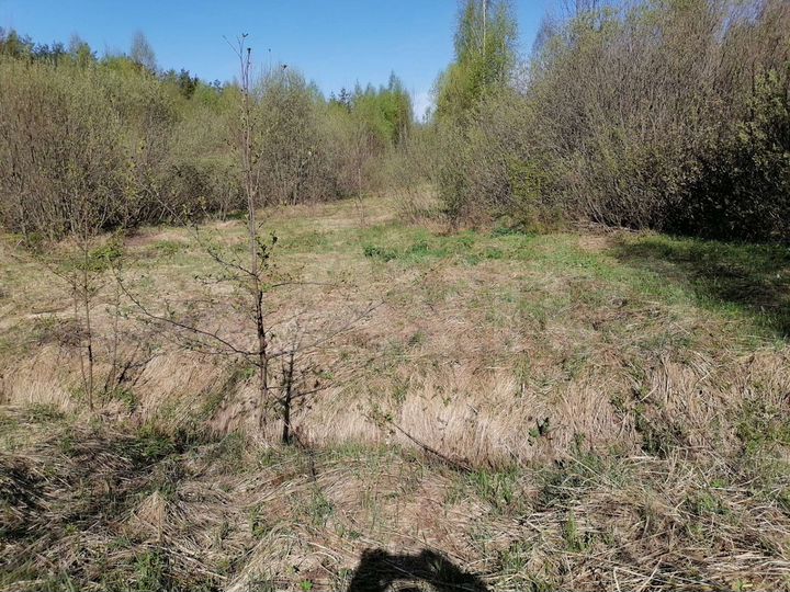 Участок 15 сот. (СНТ, ДНП)