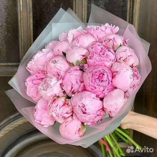 Пионы Букет пионов Доставка цветов