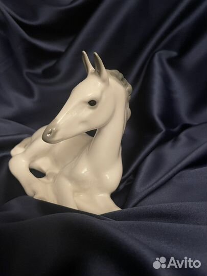 Жеребенок лфз