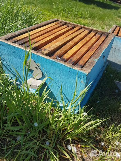 Ульи для пчел бу