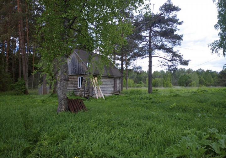 Участок 1,13 га (ИЖС)