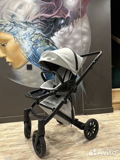 Коляска anex e/type 2 в 1