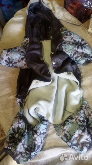 Одежда для собак