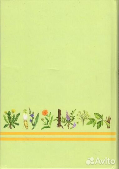 Актуальные вопросы фитотерапии в педиатрии