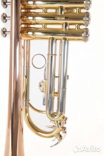 Труба Roy Benson TR-202G