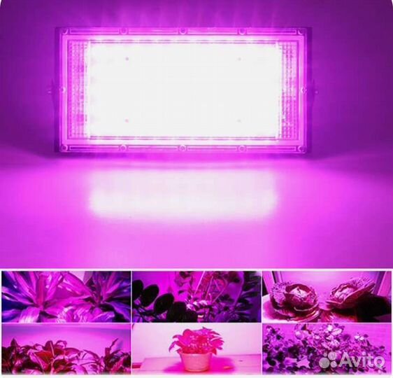 Фито светильник. Прожектор фито