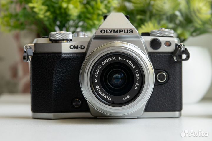 Olympus OM-D E-M5 Mark II Kit