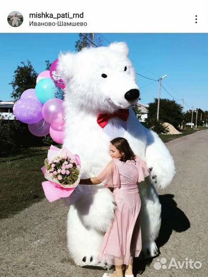 Белый Мишка поздравление с муз. сопровождением